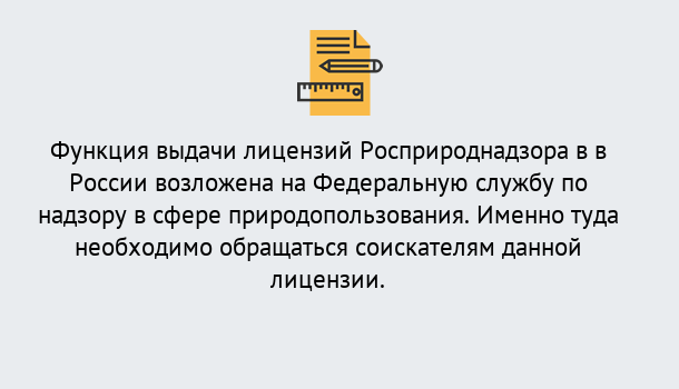 Почему нужно обратиться к нам? Краснознаменск Лицензия Росприроднадзора. Под ключ! в Краснознаменск