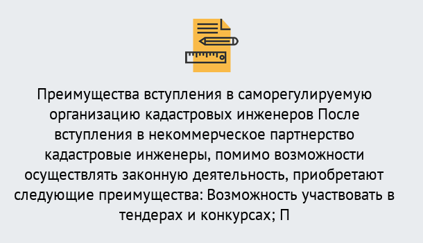 Почему нужно обратиться к нам? Краснознаменск Что дает допуск СРО кадастровых инженеров?