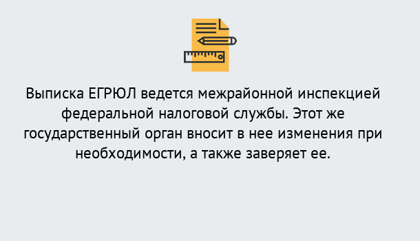 Почему нужно обратиться к нам? Краснознаменск Выписка ЕГРЮЛ в Краснознаменск ?