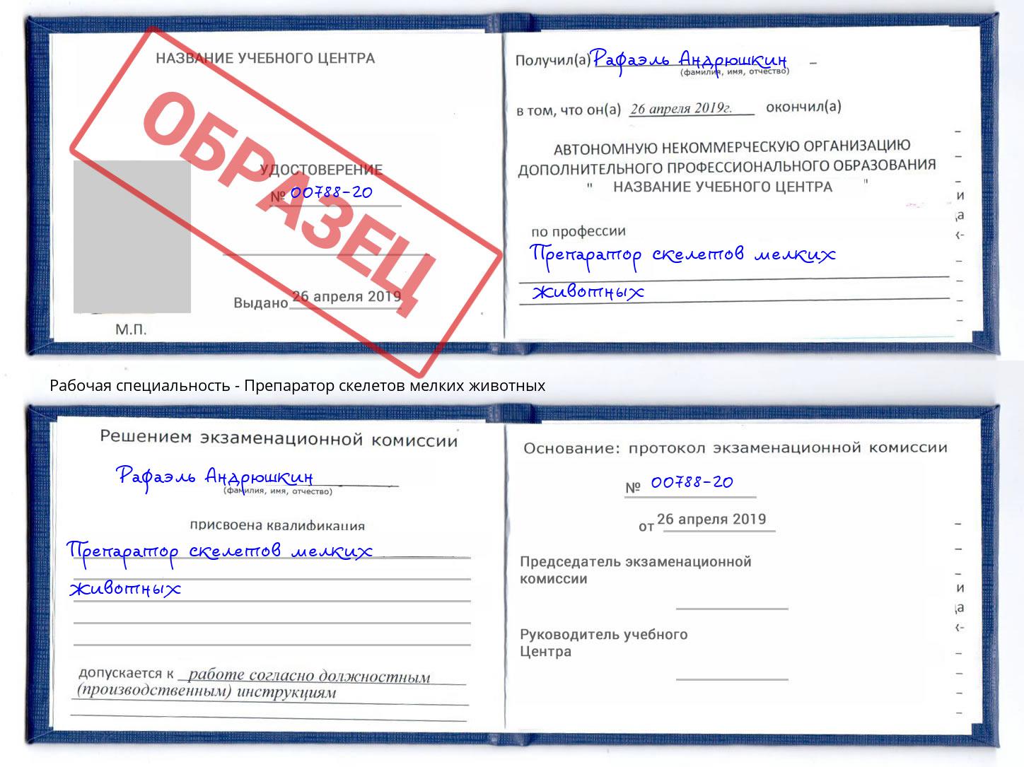 Препаратор скелетов мелких животных Краснознаменск