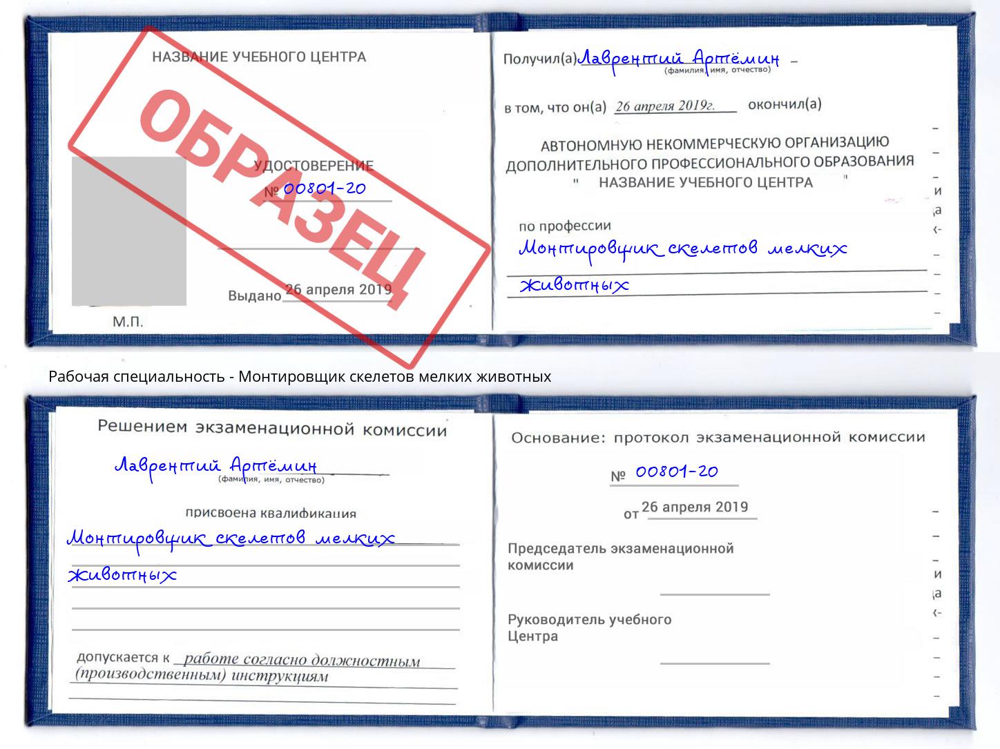 Монтировщик скелетов мелких животных Краснознаменск