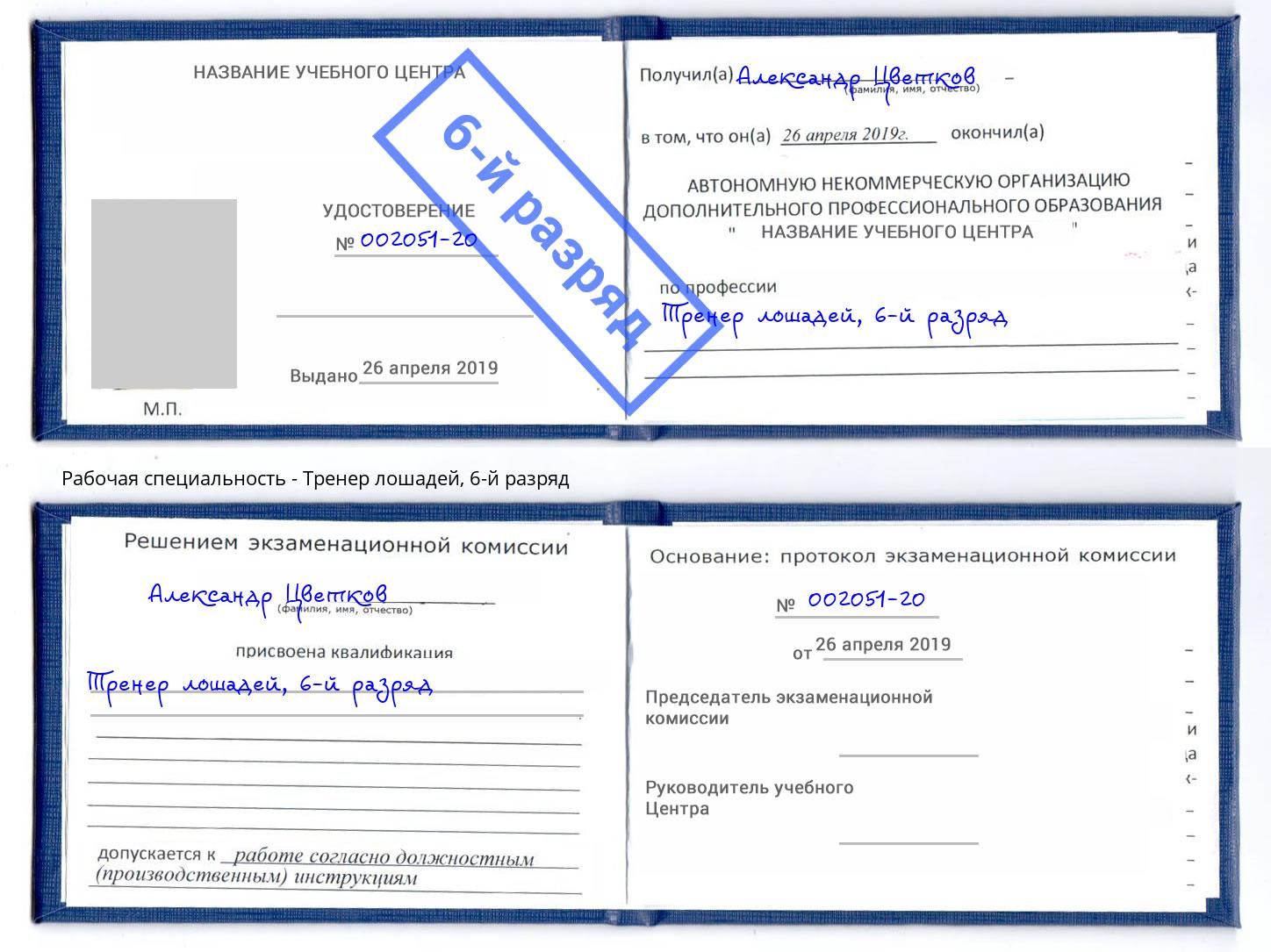 корочка 6-й разряд Тренер лошадей Краснознаменск