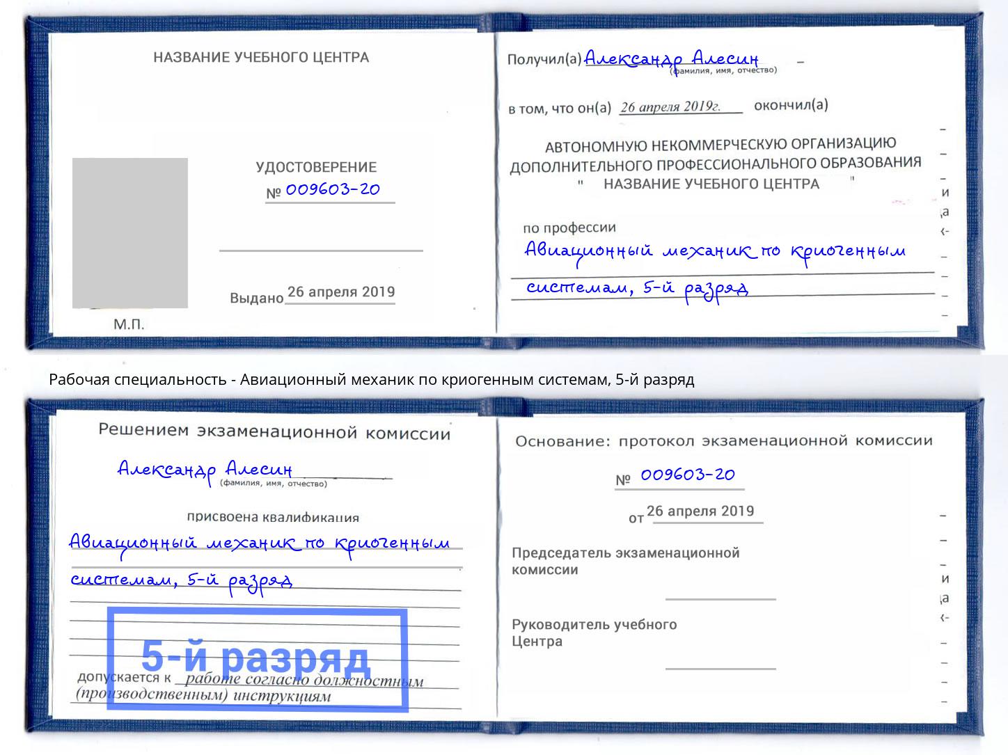 корочка 5-й разряд Авиационный механик по криогенным системам Краснознаменск