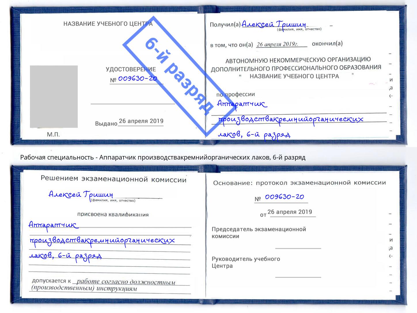 корочка 6-й разряд Аппаратчик производствакремнийорганических лаков Краснознаменск