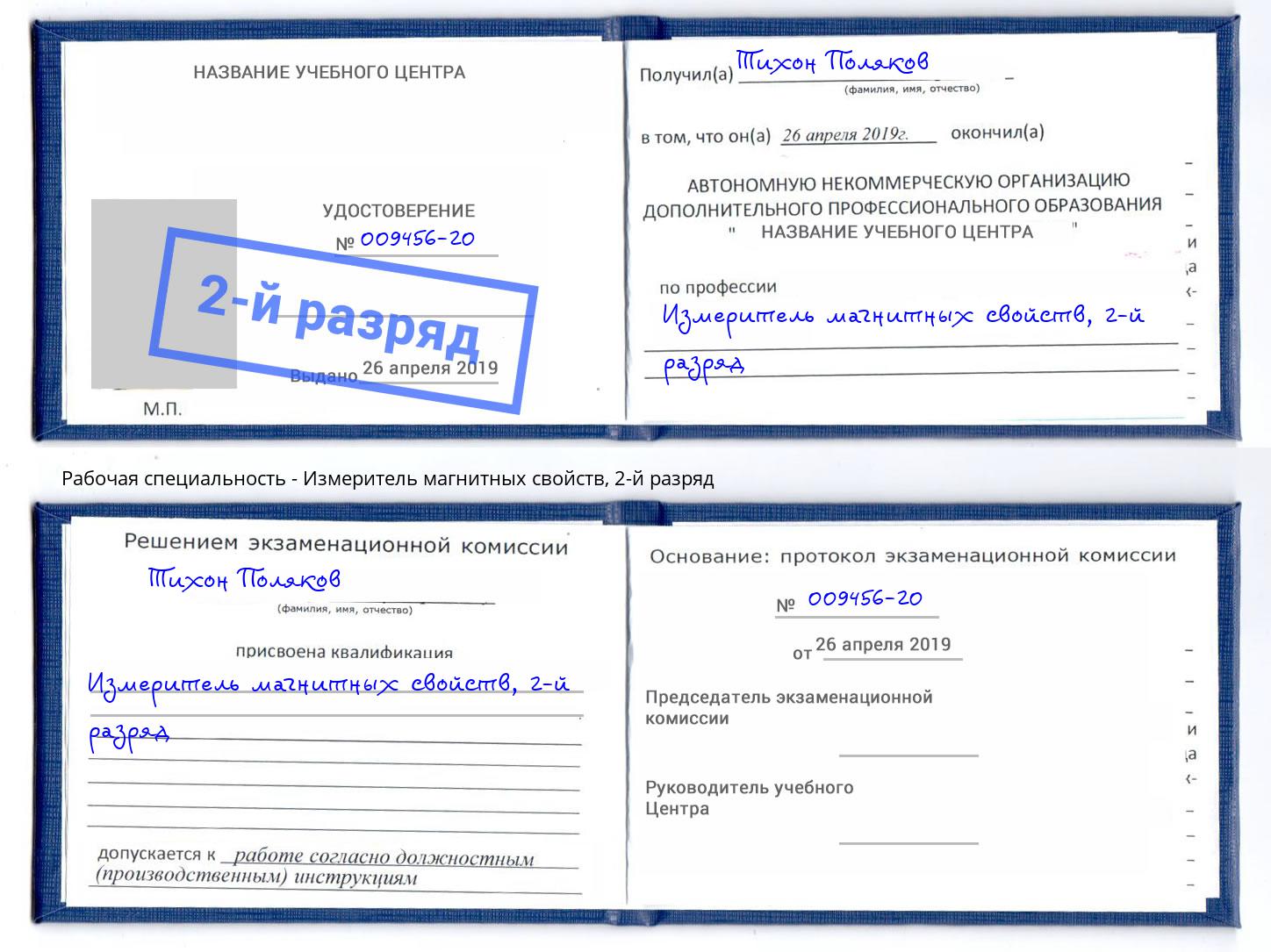 корочка 2-й разряд Измеритель магнитных свойств Краснознаменск