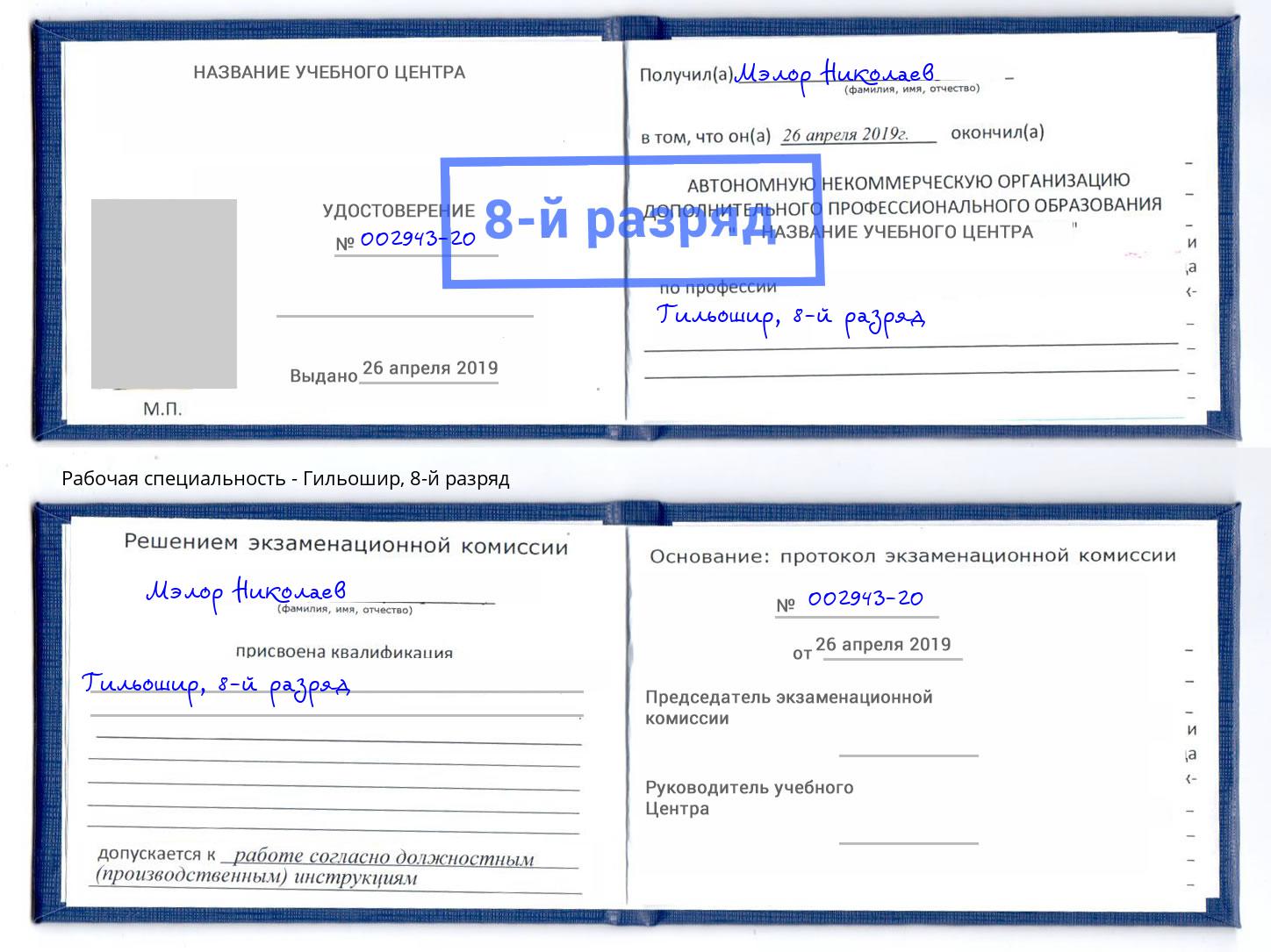 корочка 8-й разряд Гильошир Краснознаменск